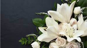 Michelle Rago Obituary, Death: Red Bank Resident Michelle Rago Passed Away Unexpectedly Family and Friends Mourn